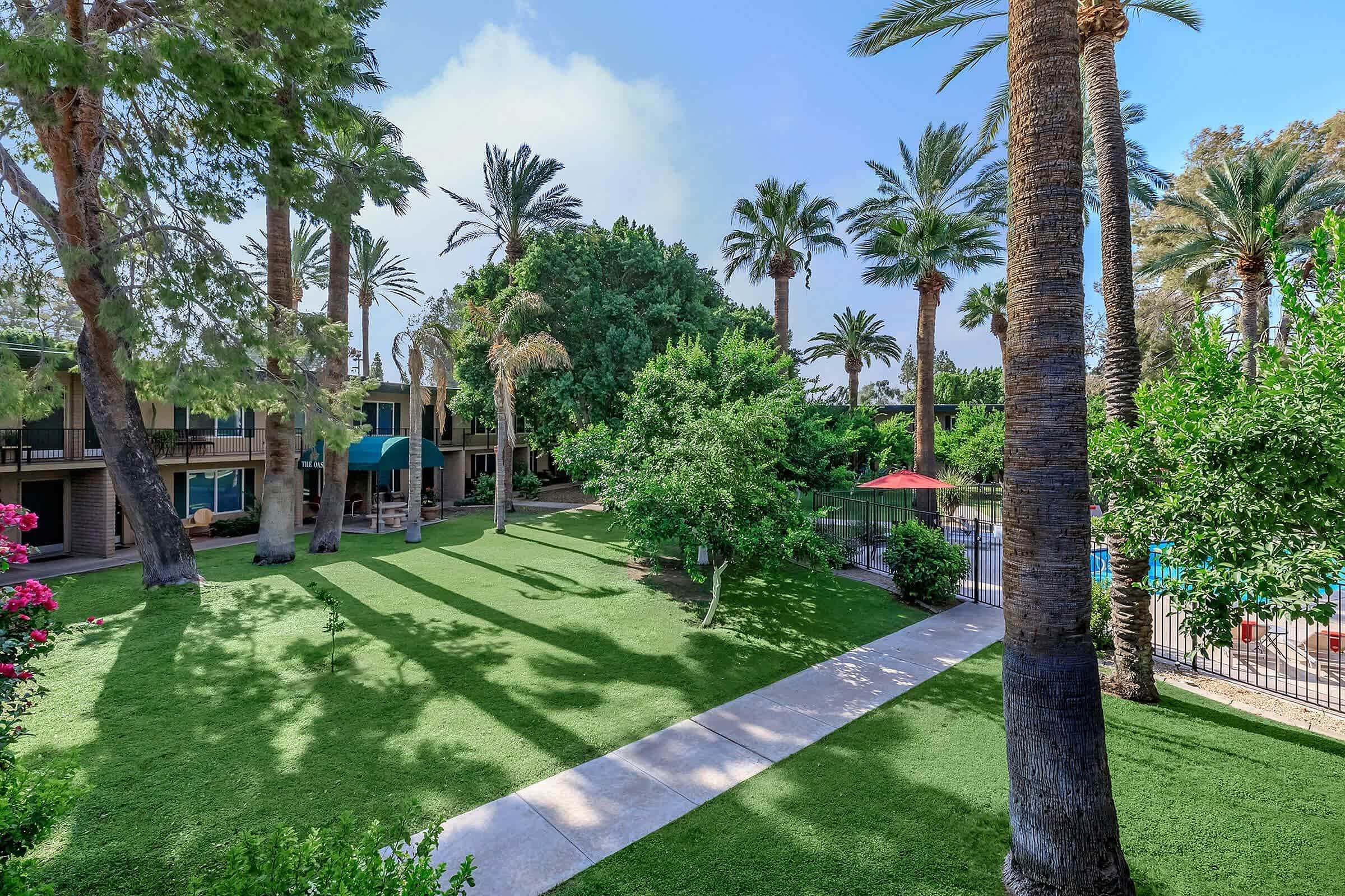 Oasis in the City – photo 4
