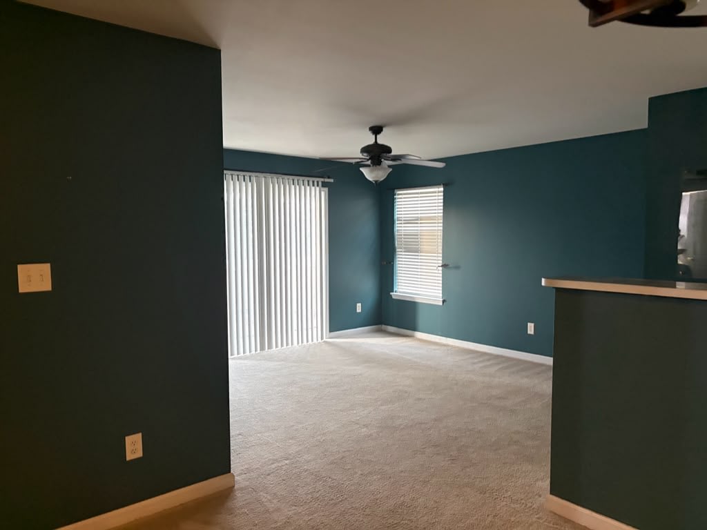 9201 Spring Creek Ln – photo 2