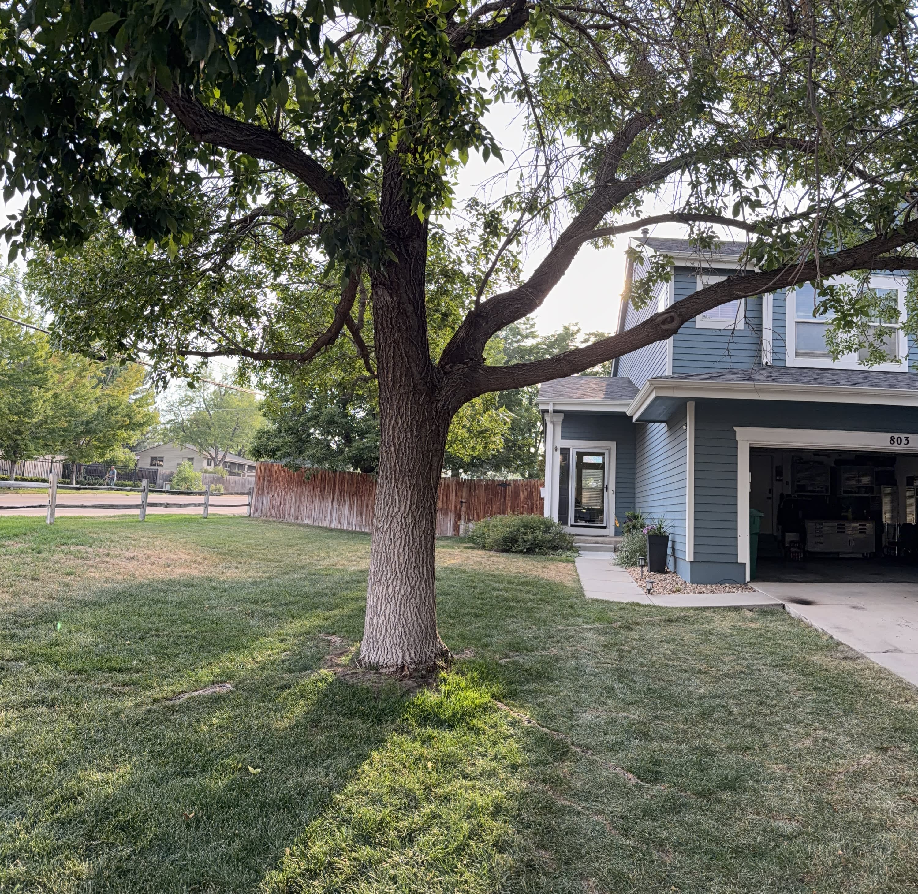 803 Union Street – photo 2