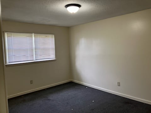 312 East 5th Street – photo 5