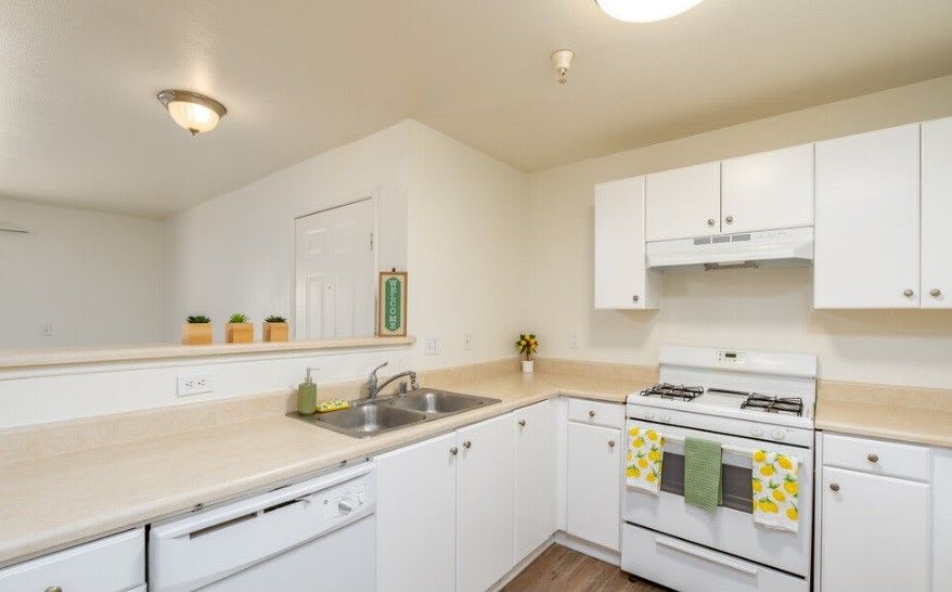Twin Palm Apartments – photo 2