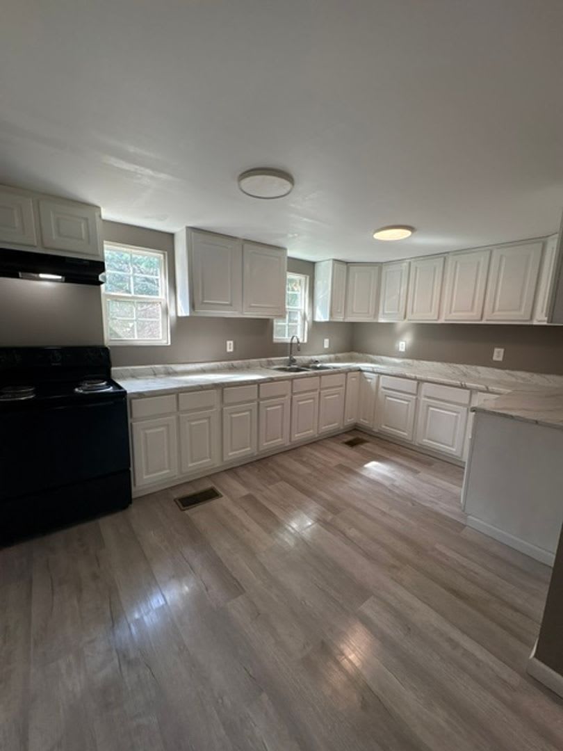 Renovated 3 Bedroom 2 Bath Home on 1 Acre for Rent! – photo 4