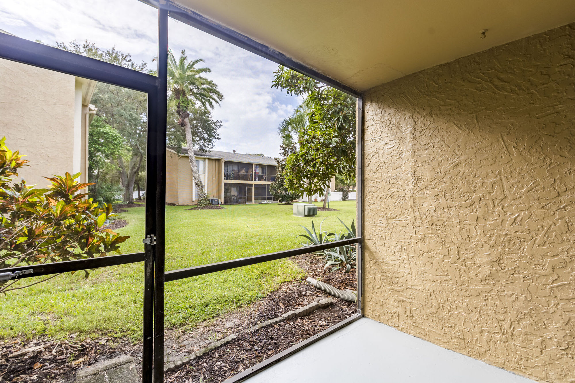 Silver Palms – photo 4