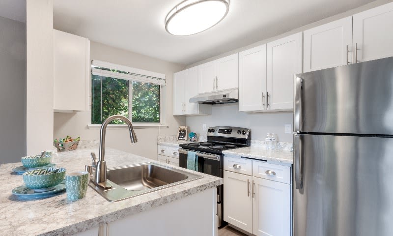 Avana Chestnut Hill – photo 1
