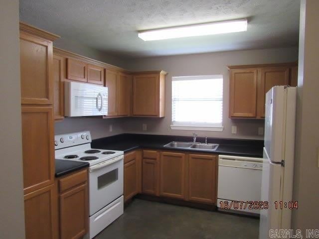2125 B Rosemary Drive – photo 4