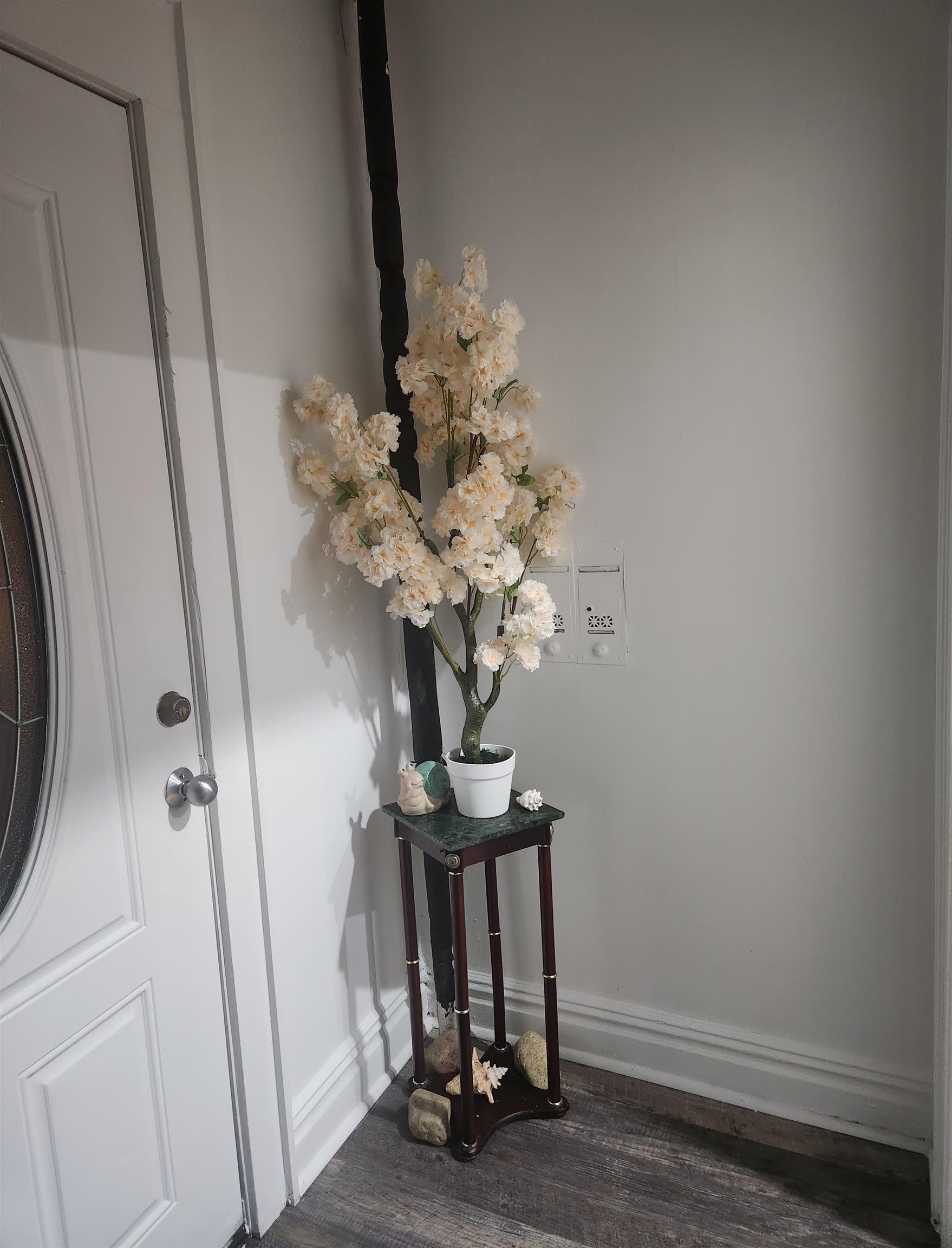 334 STEGMAN PARKWAY – photo 2