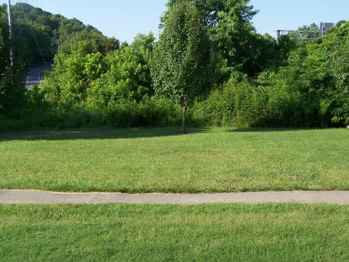 7201 Long Shot Lane – photo 3