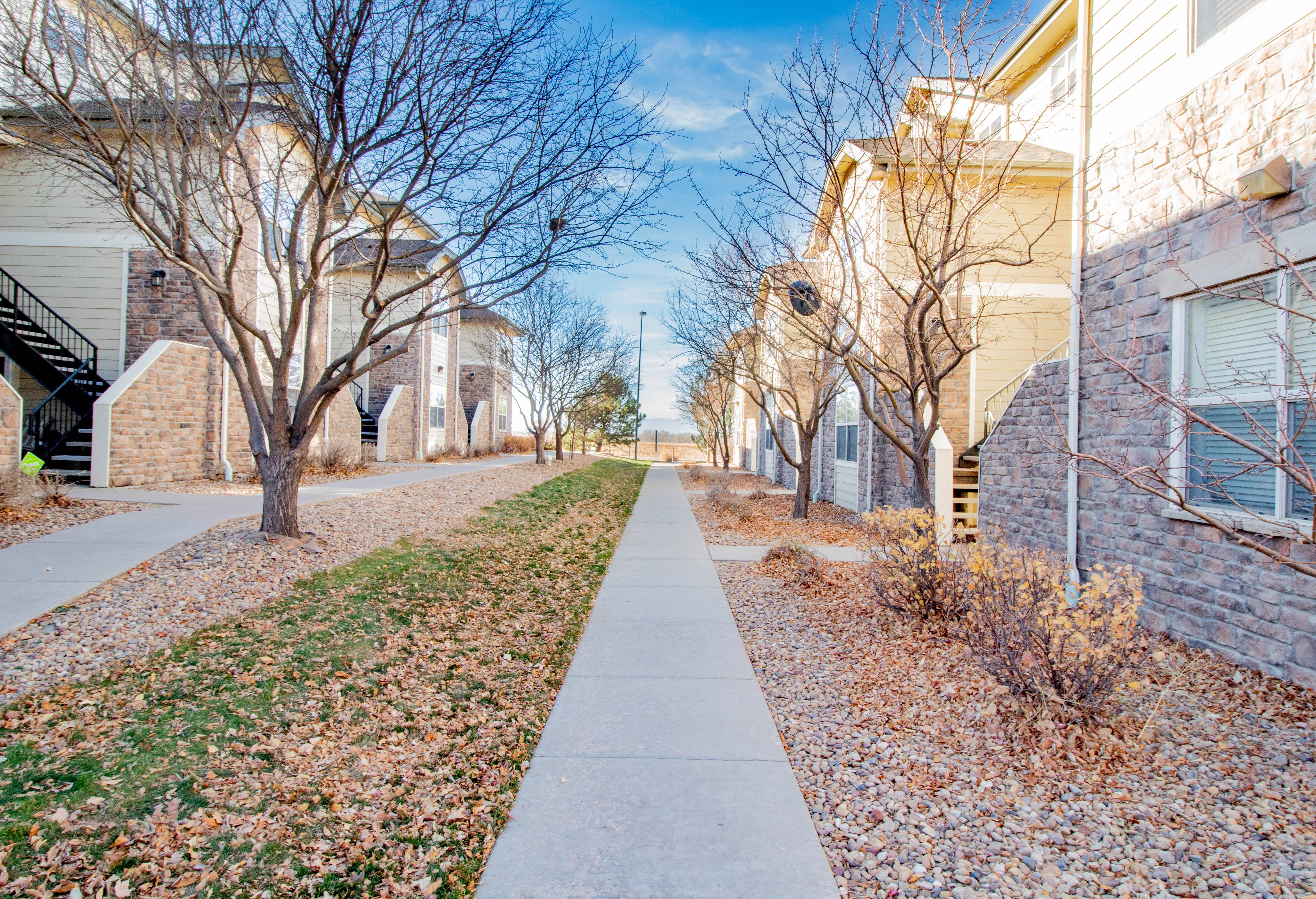 5800 N Tower Road – photo 4