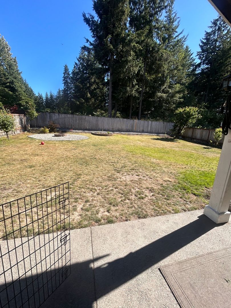 Spacious 4BR House in Graham – photo 3
