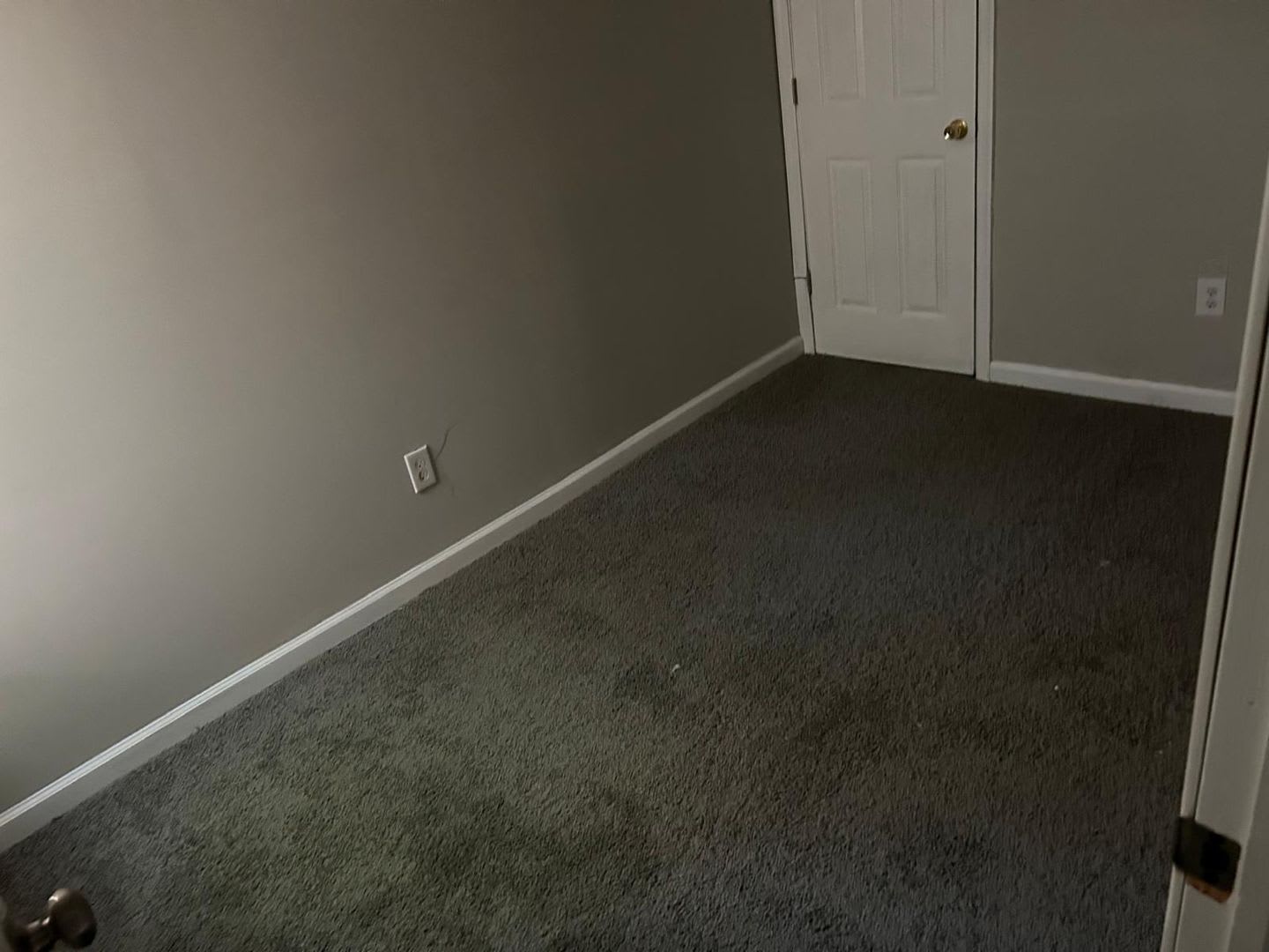 1038 W Orleans St Philadelphia – photo 5