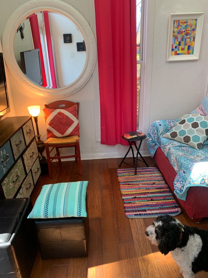 Beautifully Updated Clearwater Cottage Home in a Prime Location Near Beaches & Shopping – photo 4