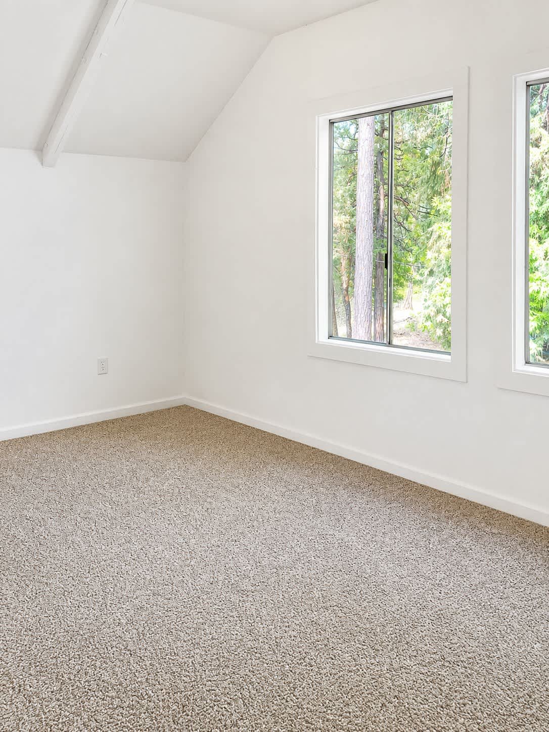 24273 Shake Ridge Road – photo 5