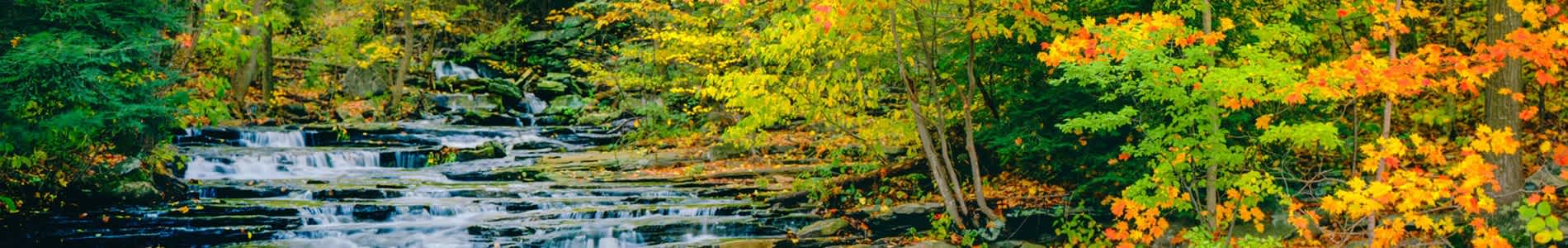 Autumn Chase – photo 2