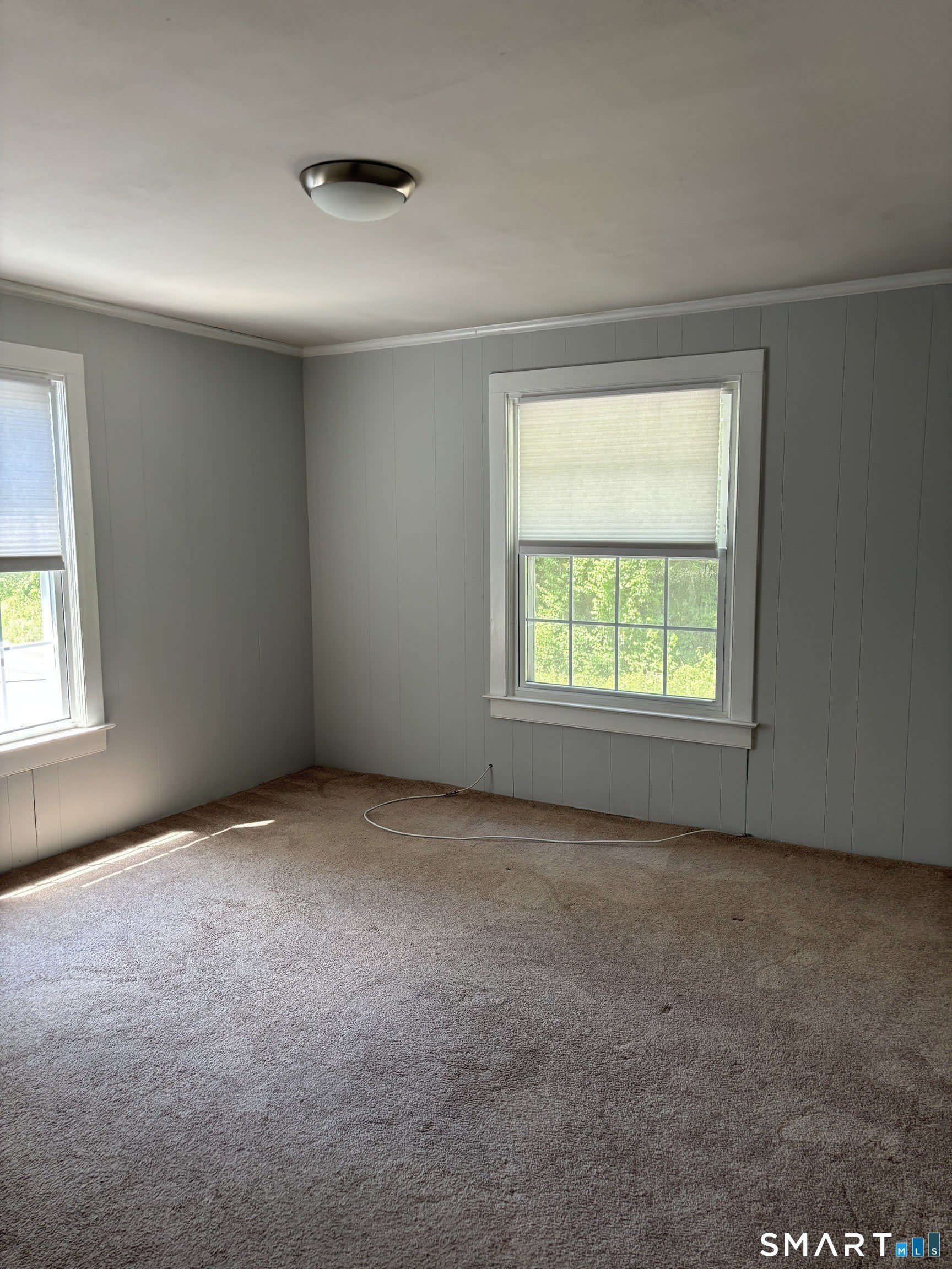 42 Nashville Road – photo 3