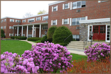 Executive Apartments – photo 1