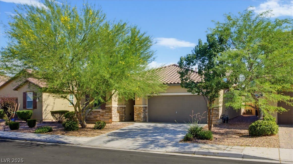 917 Spiracle Avenue – photo 3