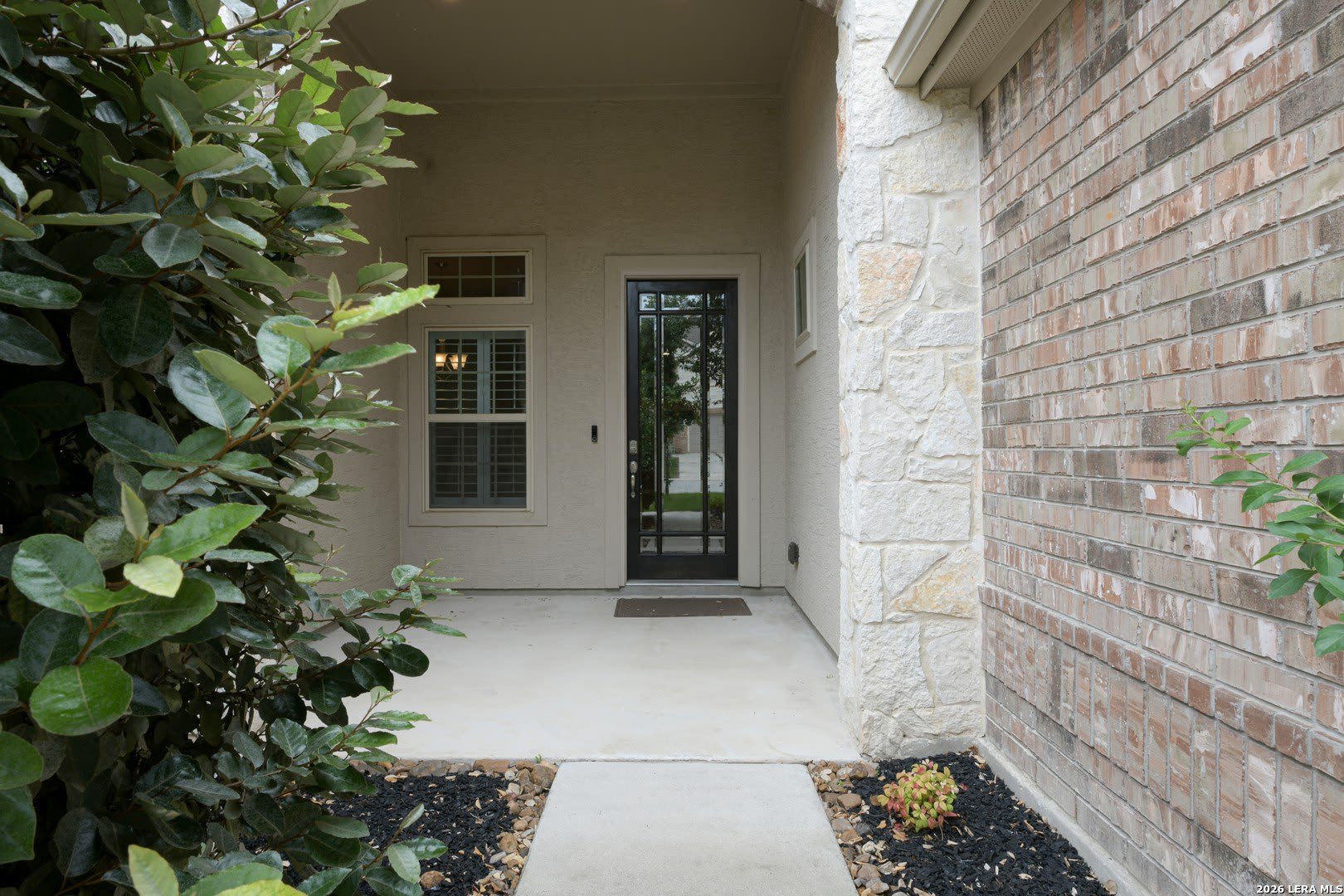 29118 Tusculum – photo 3