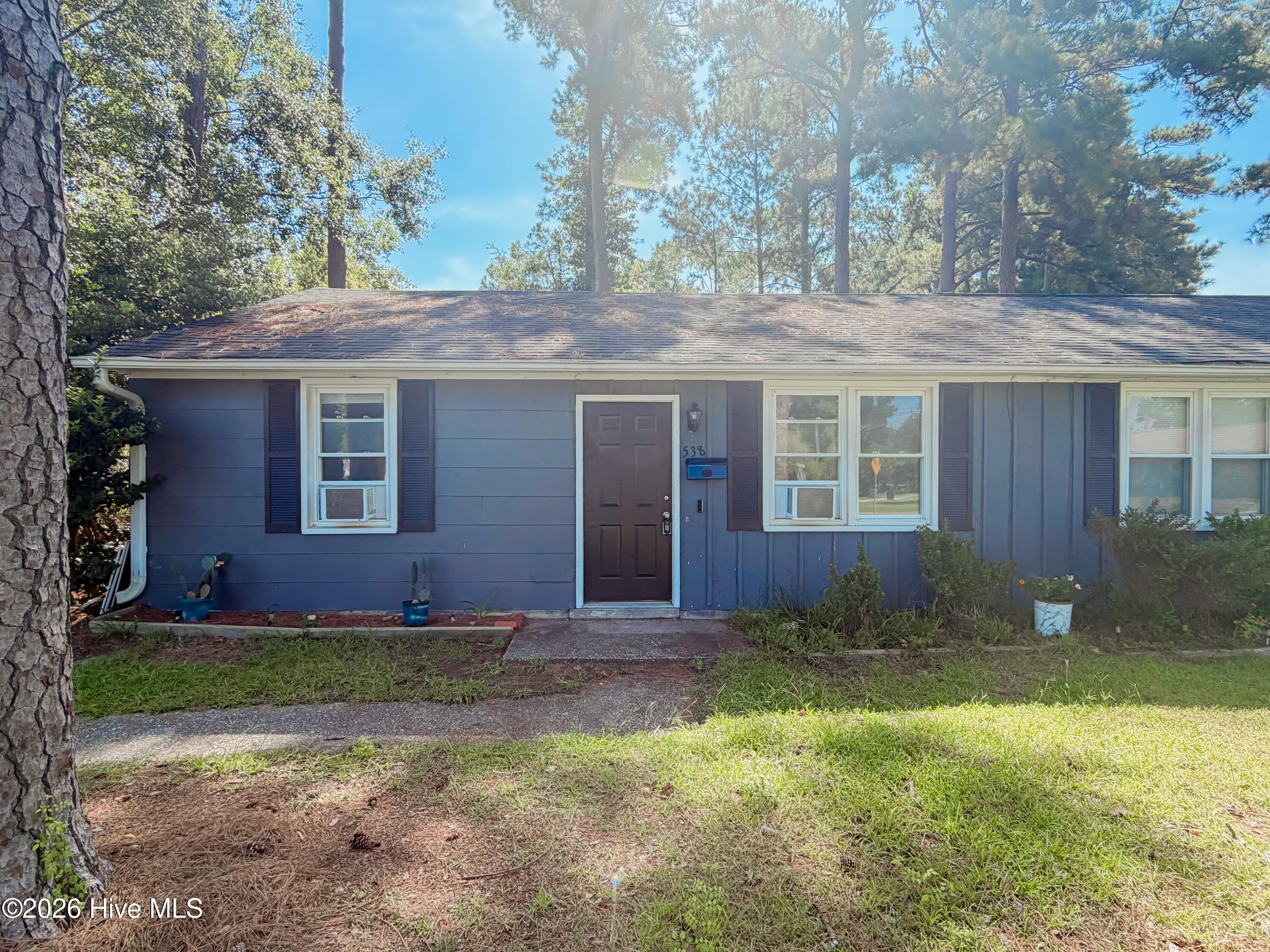 538 Williams Street – photo 5