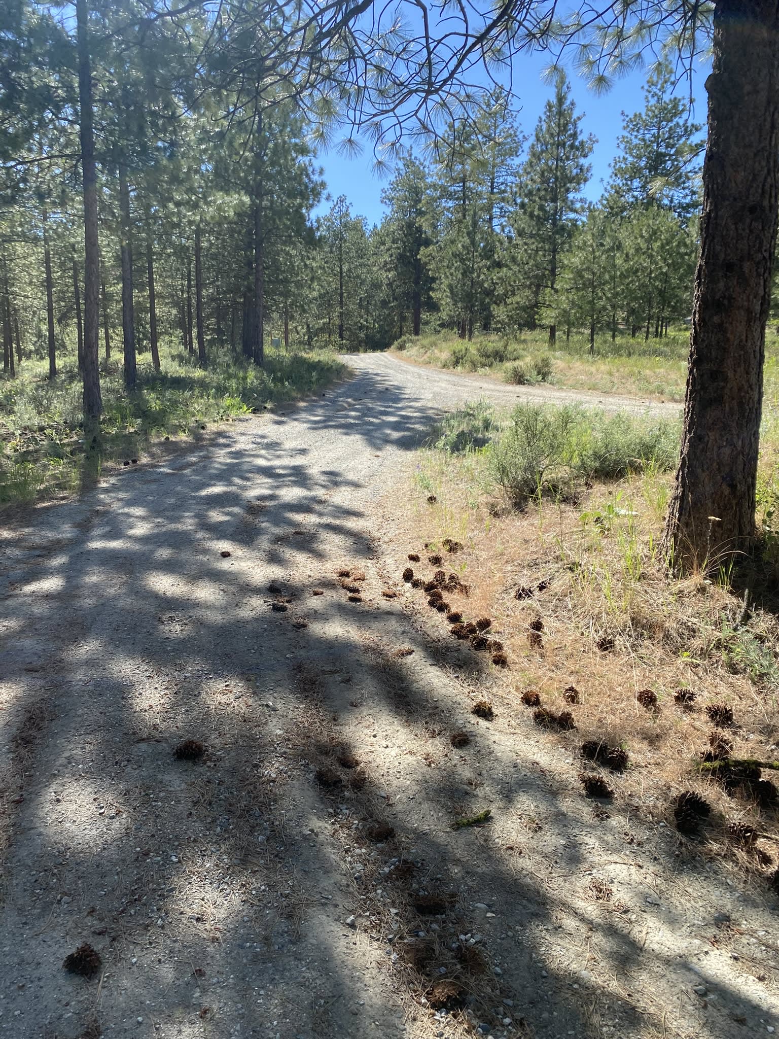 616 Nancy Lane – photo 4