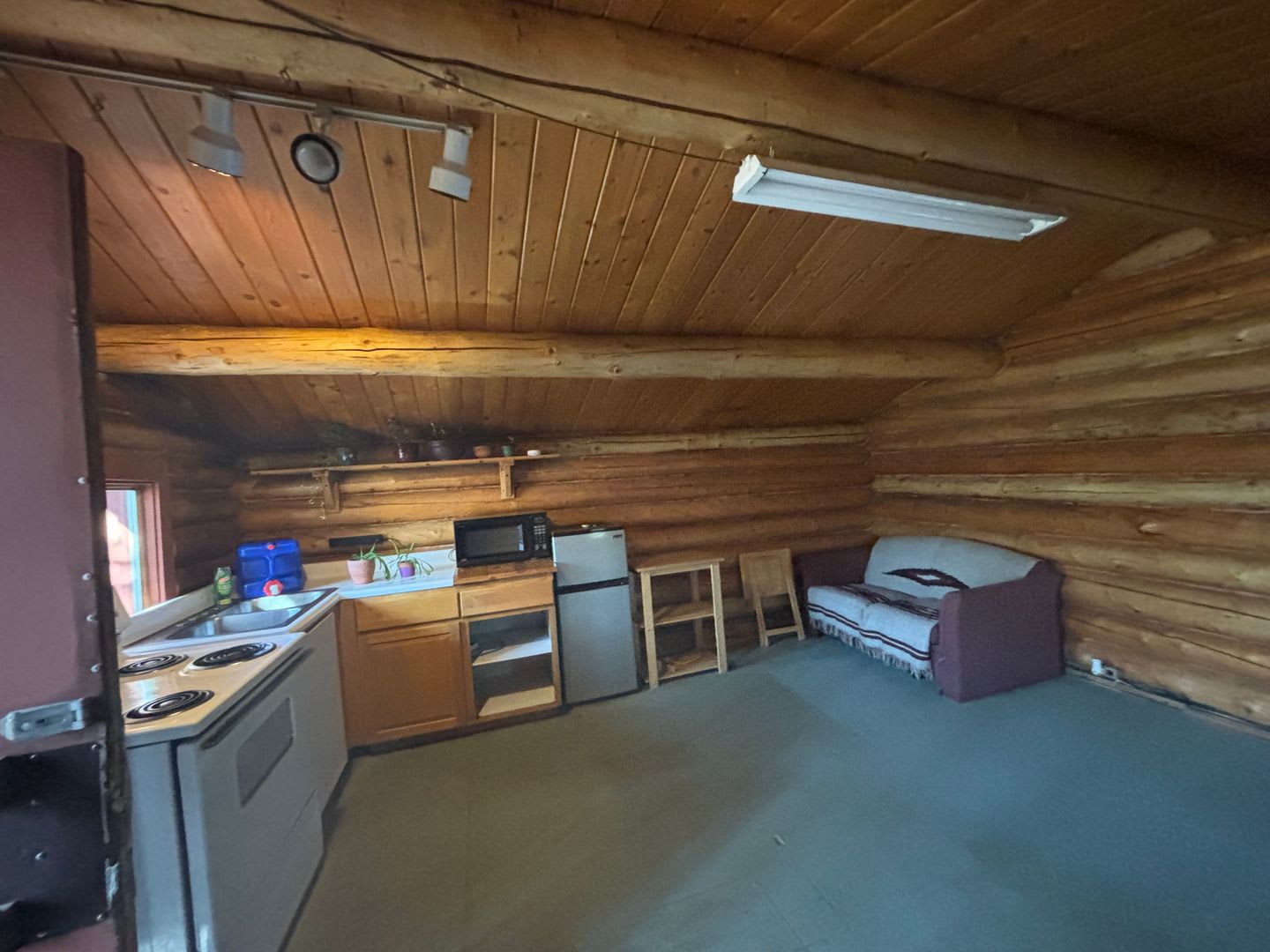 Dry cabin off Goldstream / Dog friendly – photo 5