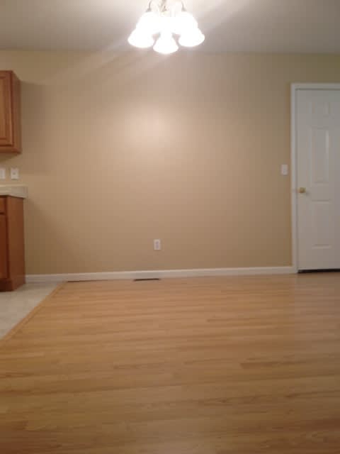 Single-Family Home in Branson – photo 4