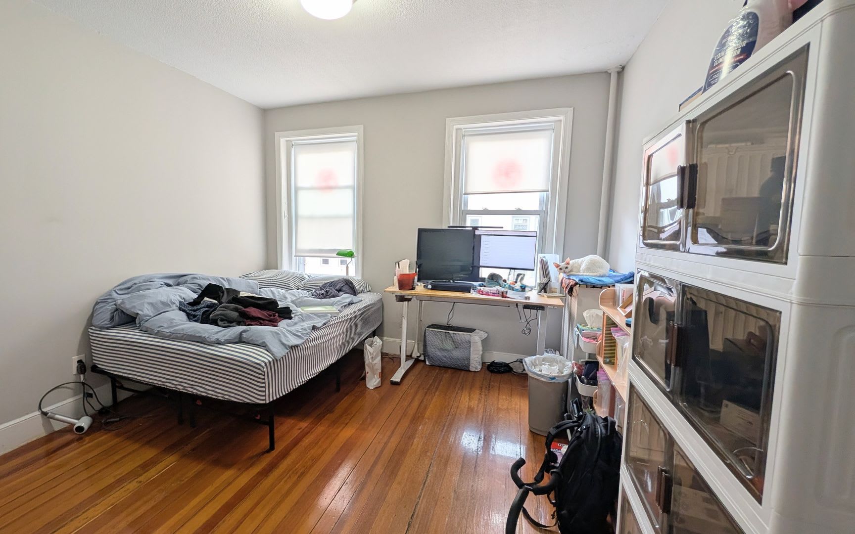 Modern Allston 2-bed, 1-bath Minutes from Packard's Corner – photo 1