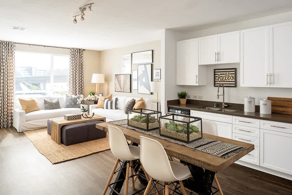 Apex Laguna Niguel – photo 1