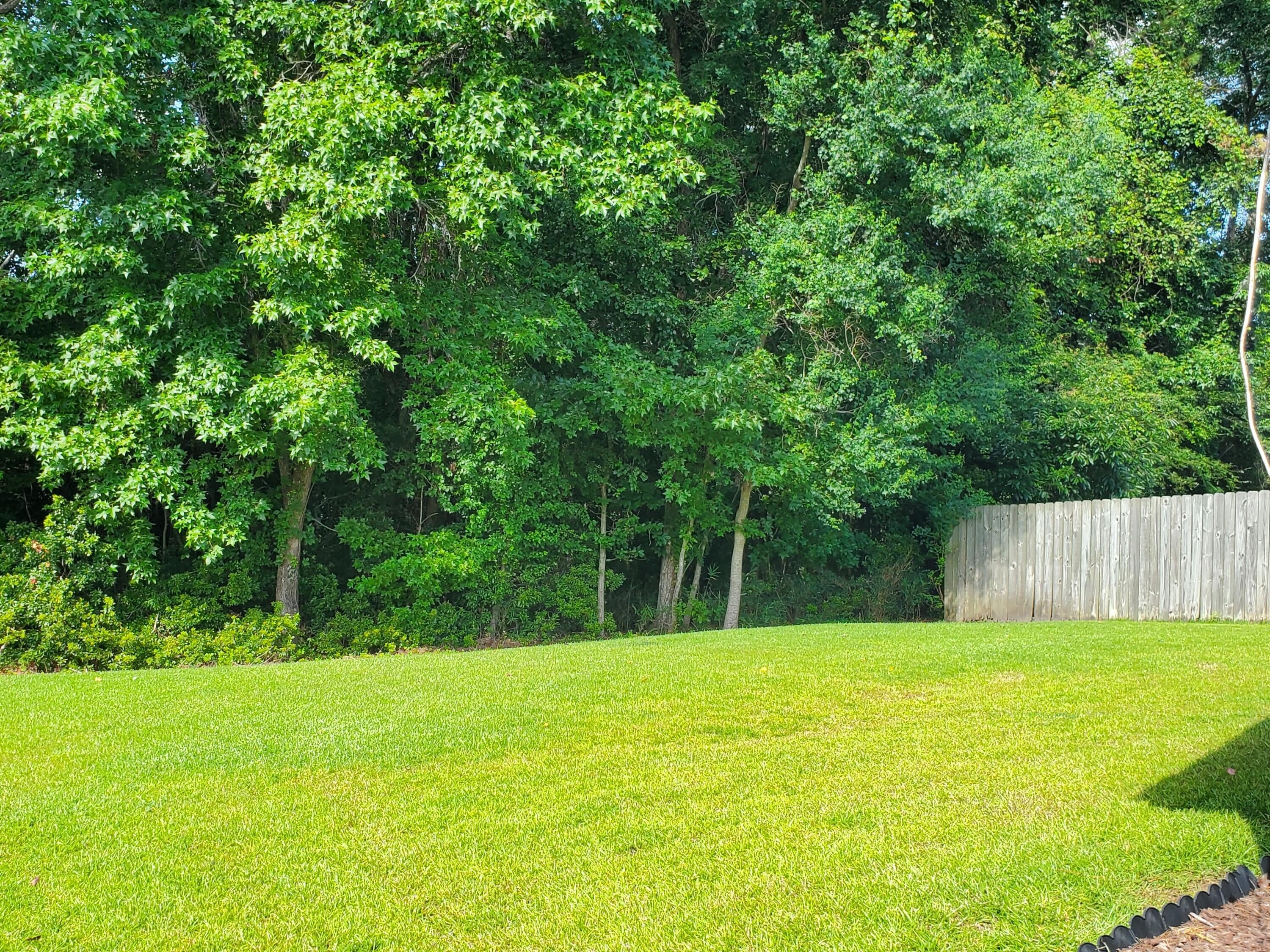 103 Salem Creek Drive – photo 4