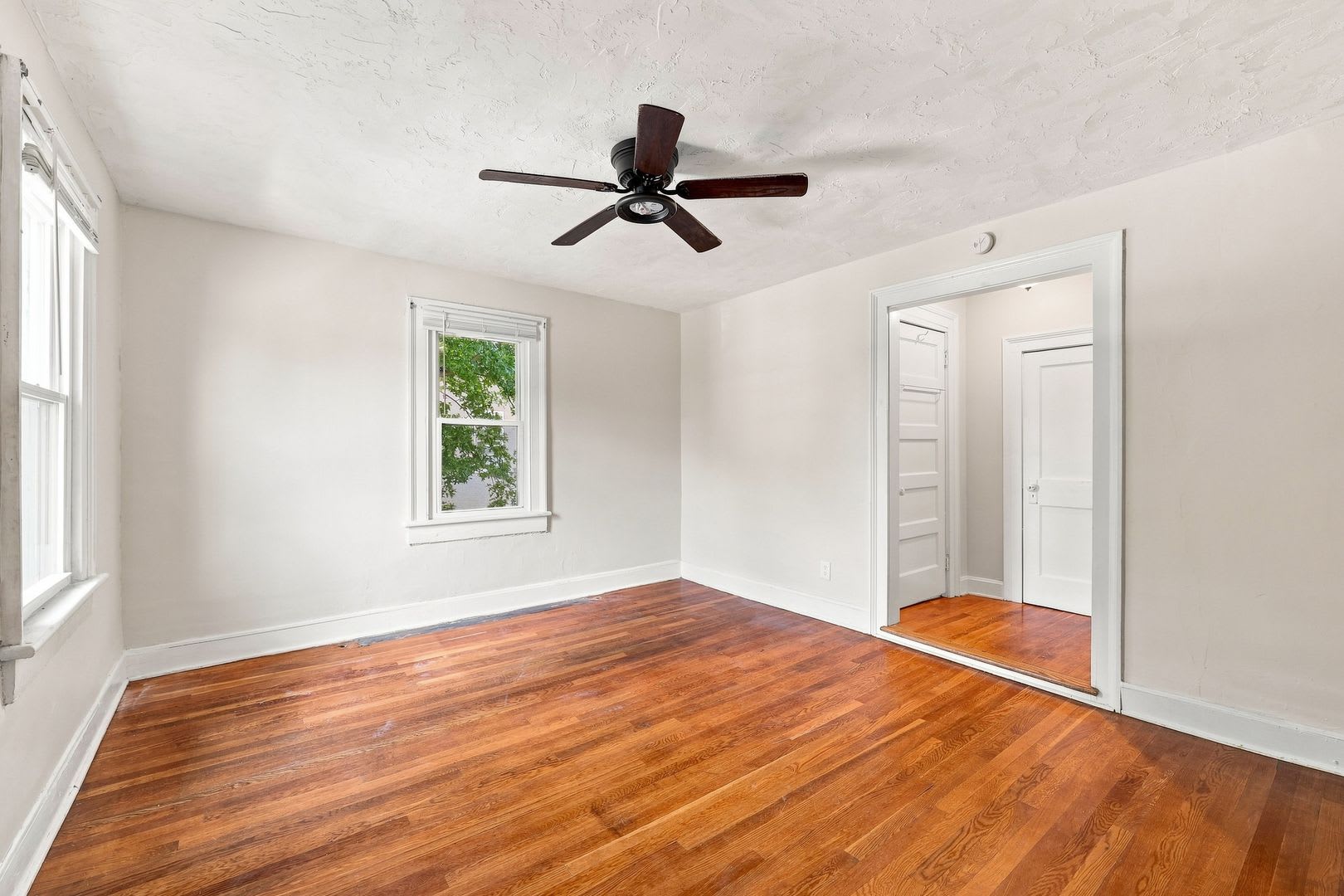 650 Alleghany Ave APT 3 – photo 5