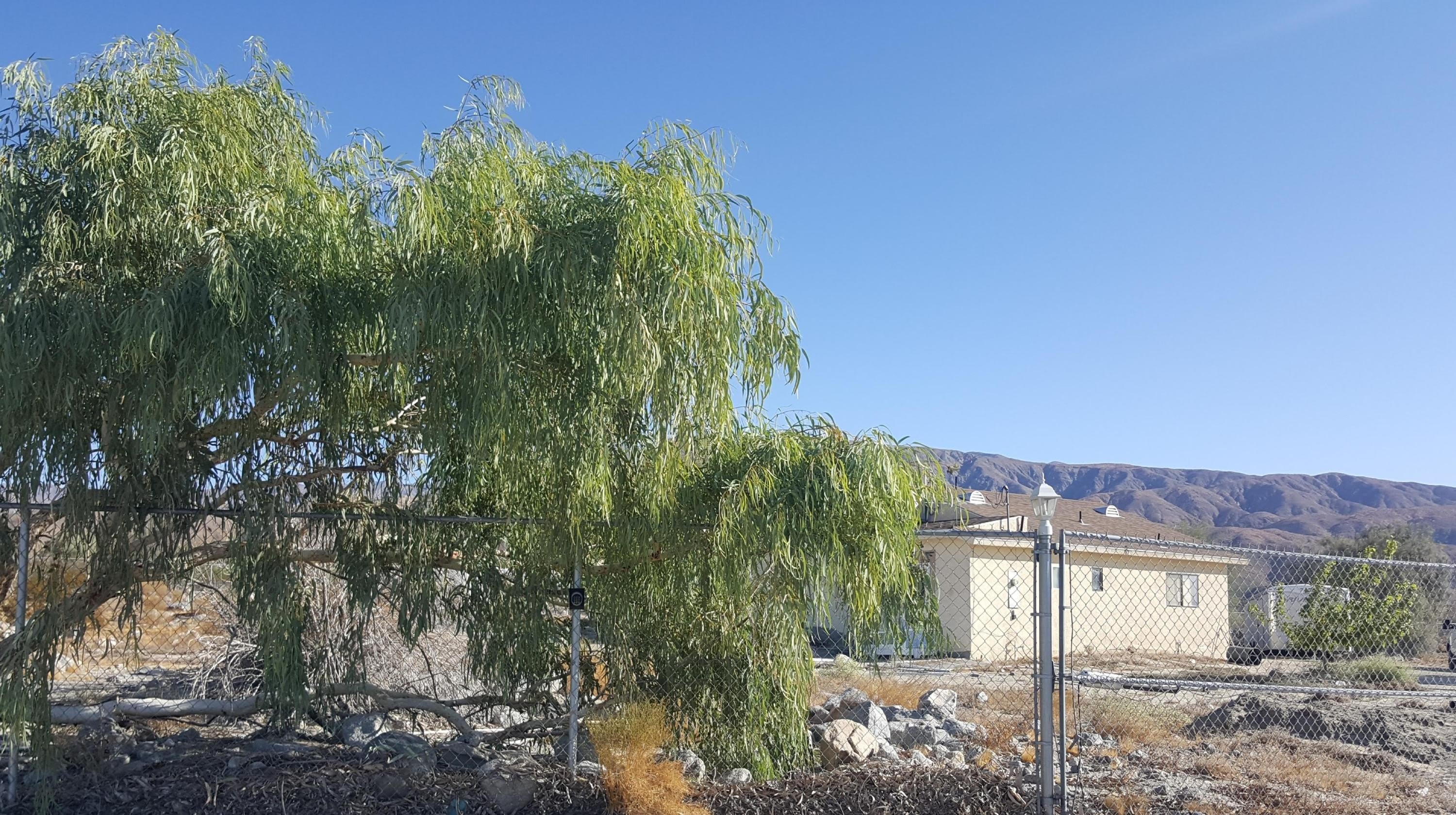 23558 Tamyran Road – photo 2