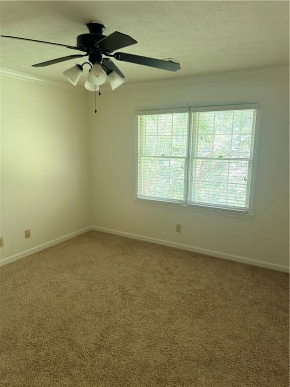 477 Patterson Road – photo 2