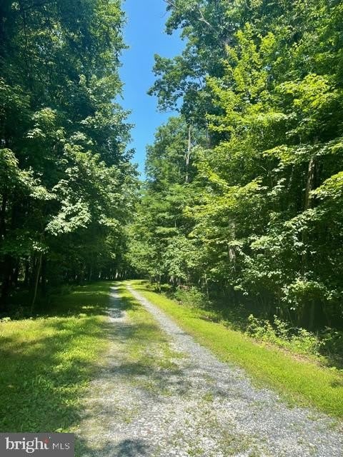 2785 COLD SPRINGS – photo 2