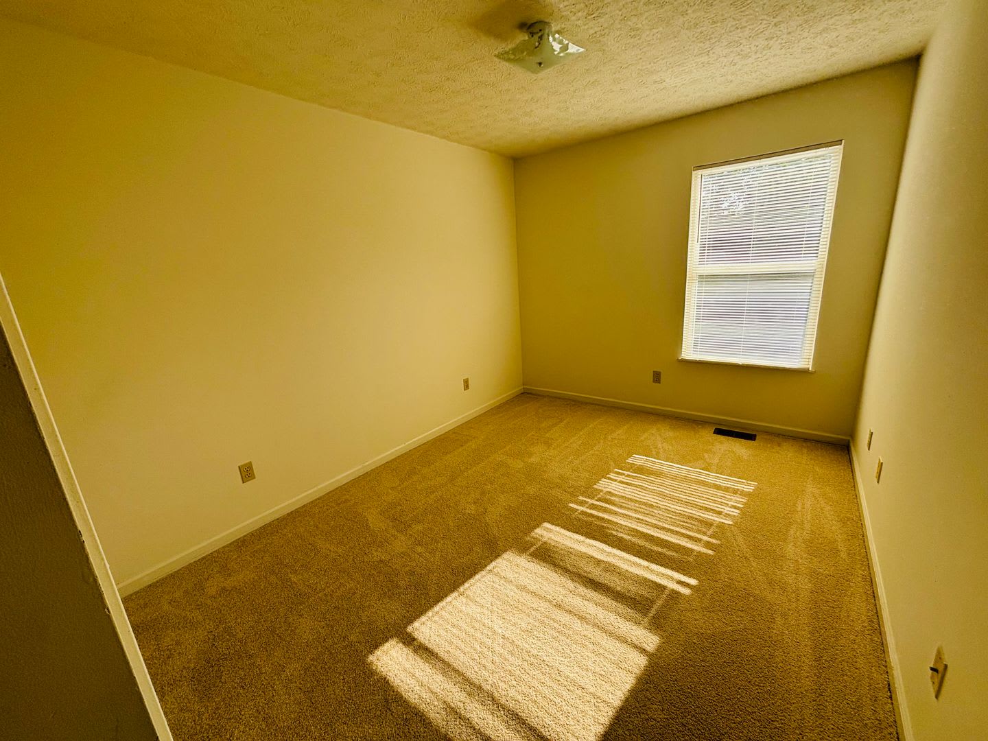 3 Bedroom 2.5 Bath Townhouse – photo 4
