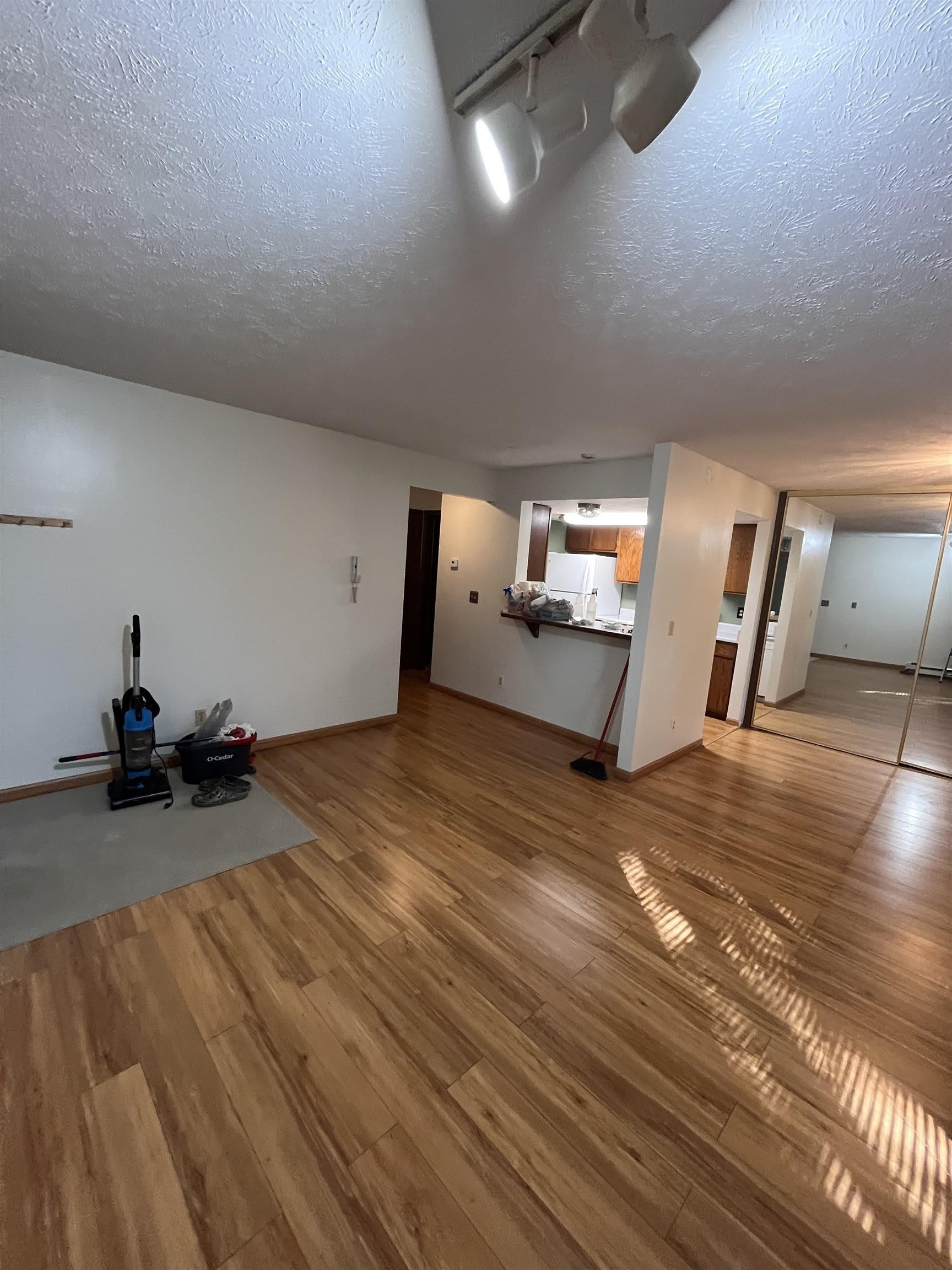 227 WOODRIDGE STREET – photo 2