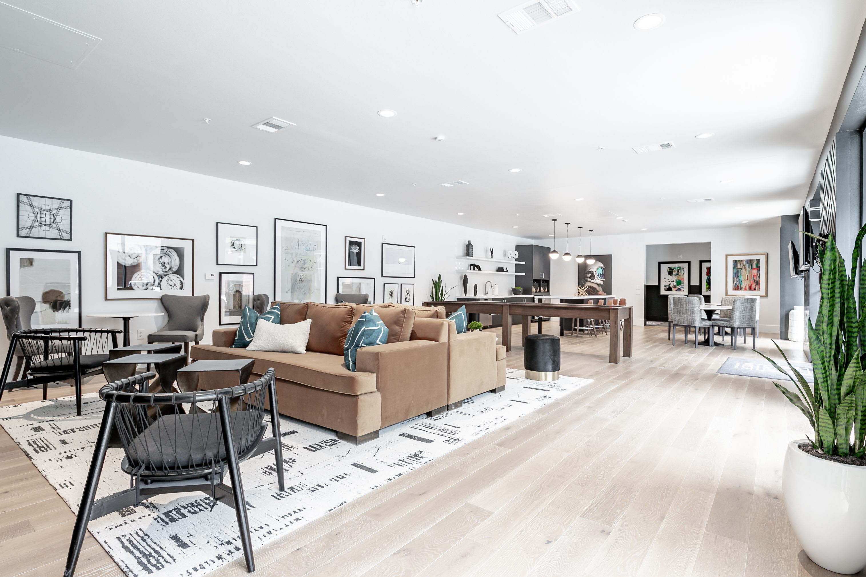 Muse Apartments – photo 3