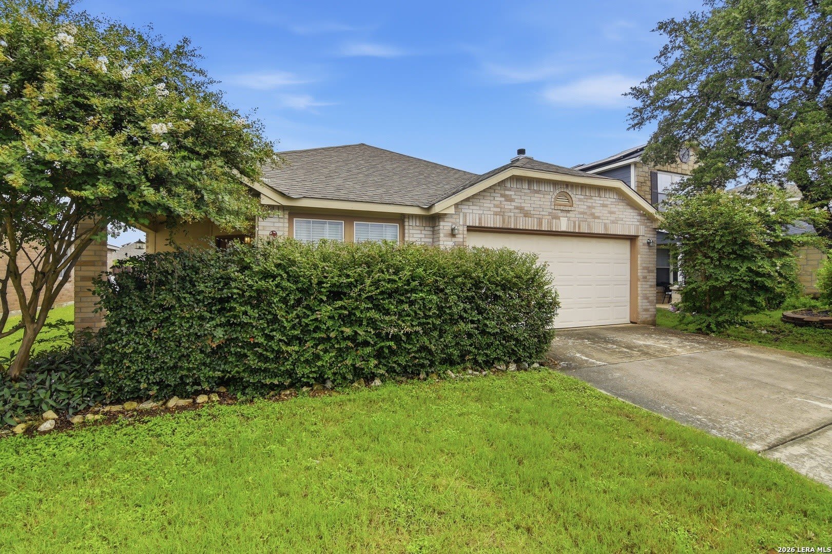 25537 Gold Yarrow – photo 2