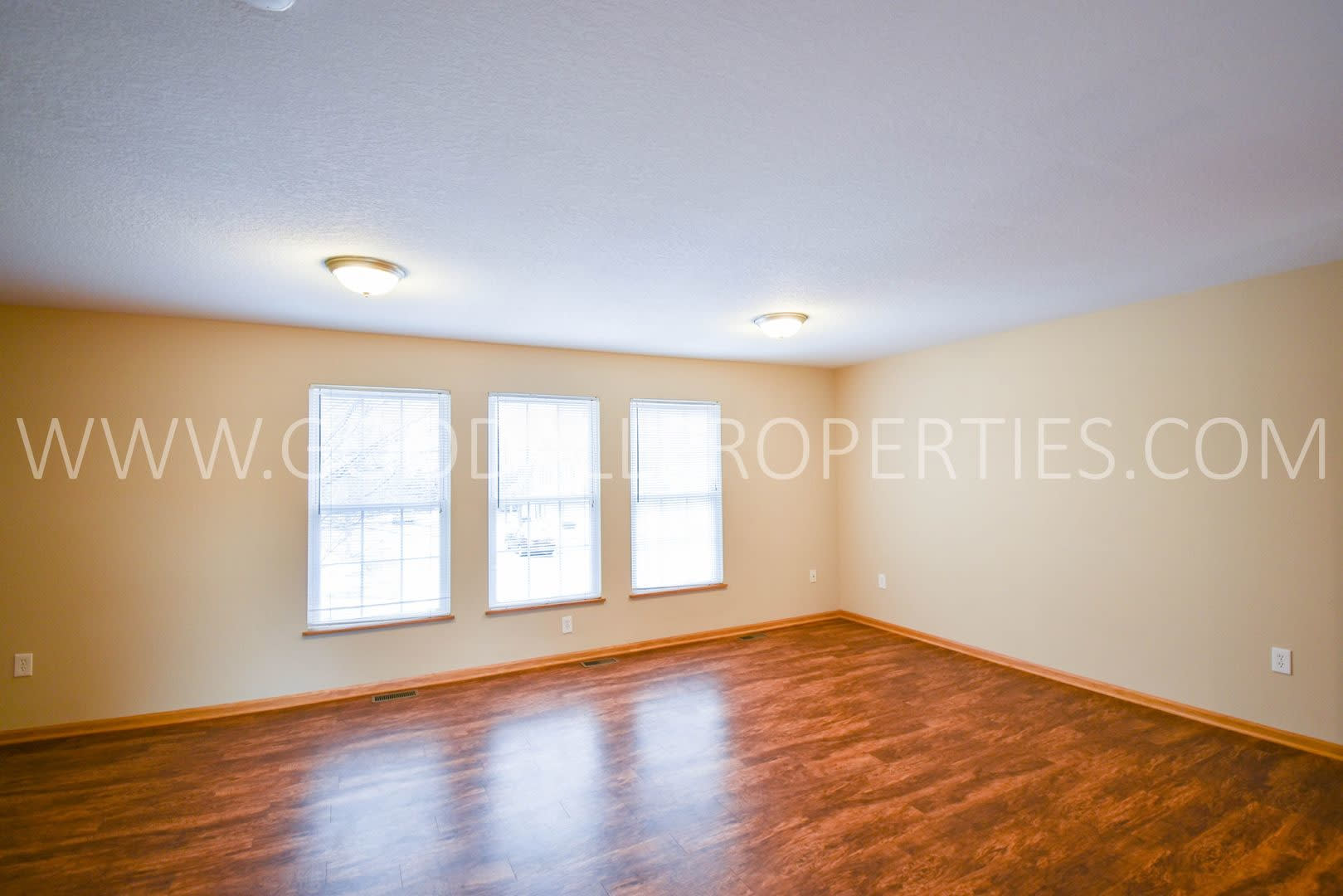 Now $1,550! Spacious Urbandale Townhome with 2-Car Garage & Lawn Care Included – photo 3