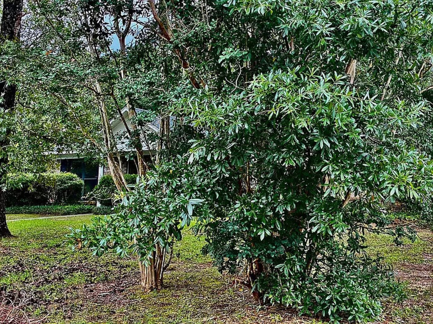 Charming 3BR House in Mobile – photo 2