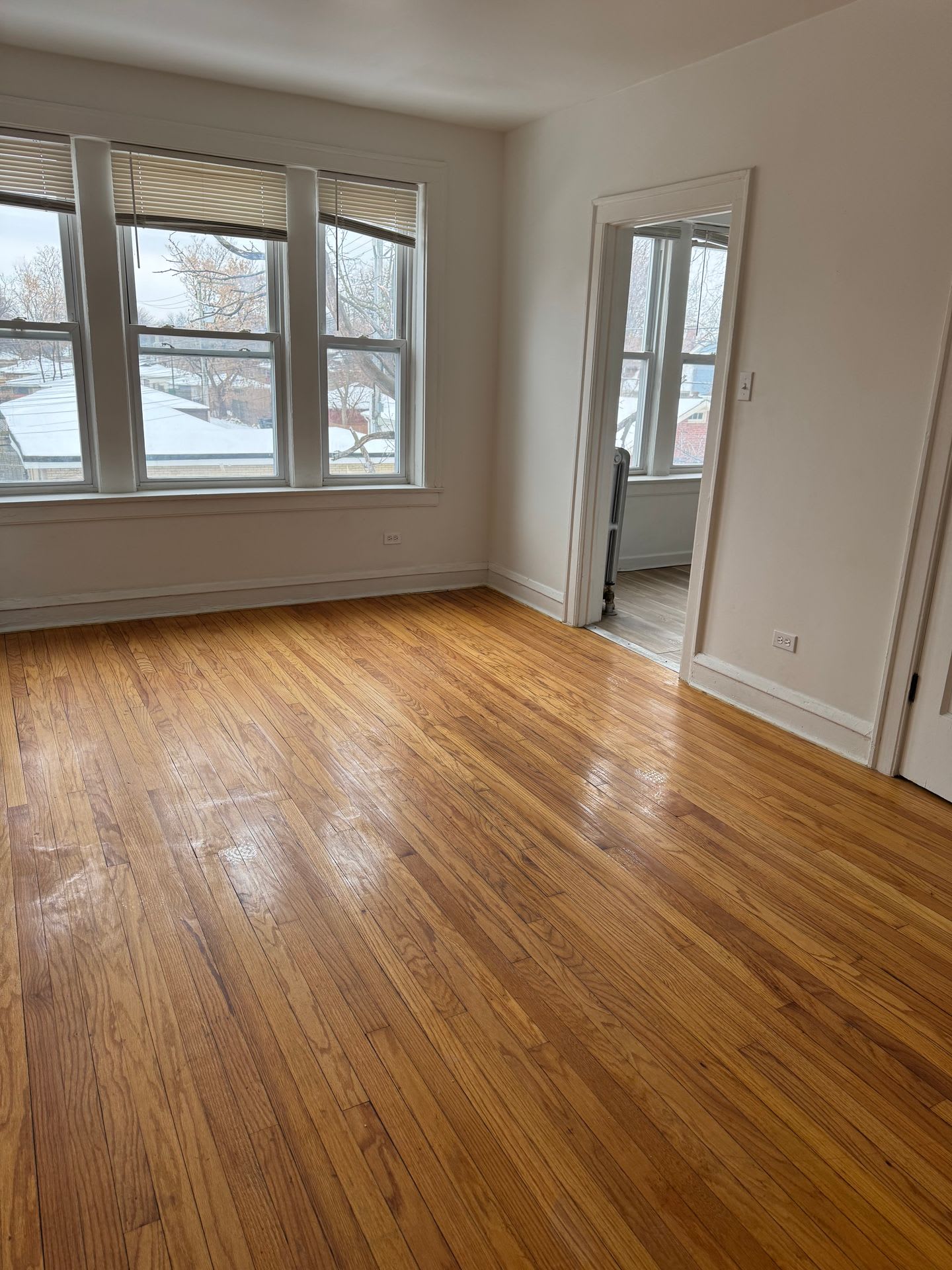 7348 S King Dr – photo 3