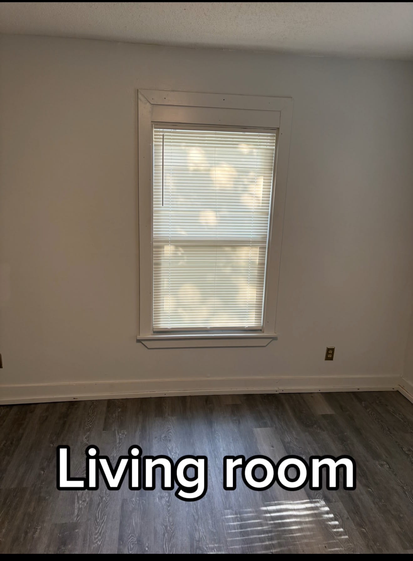 167 Butler Street – photo 3