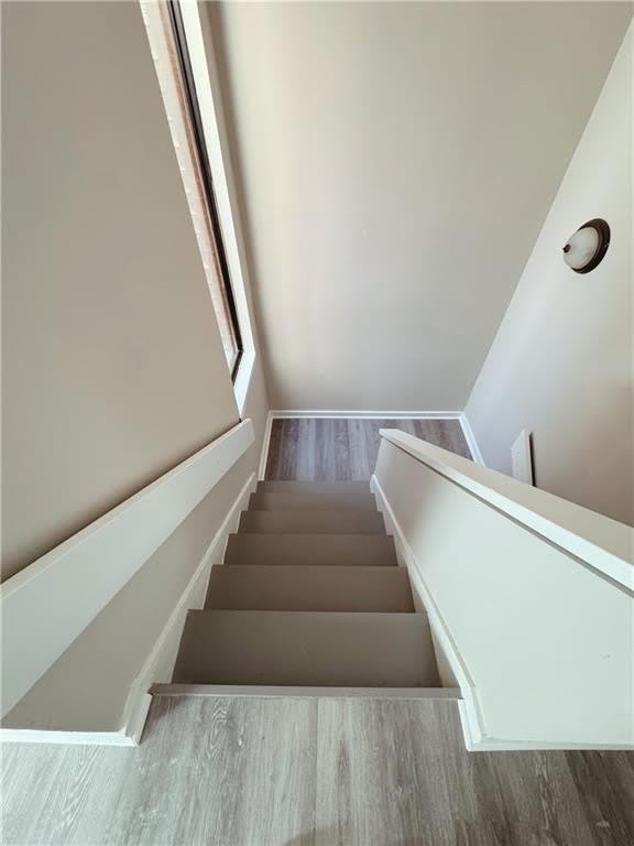 2553 Terrace Trail – photo 5