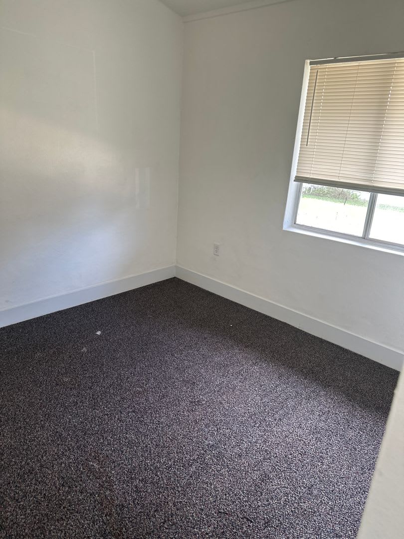 Colony House – photo 4