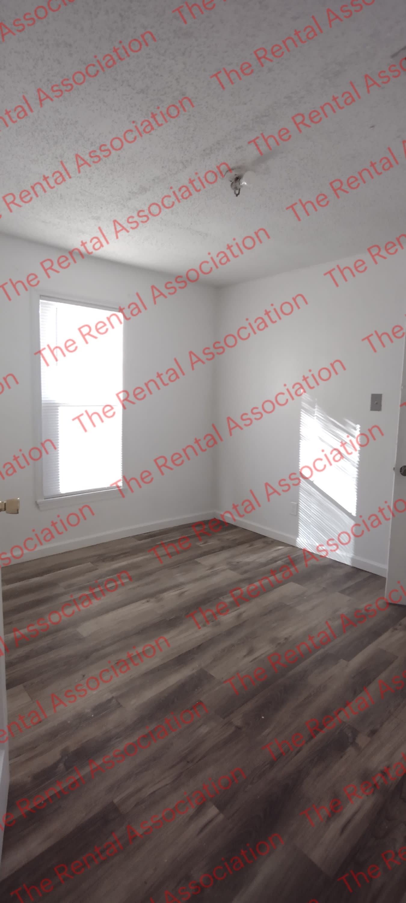 315 Pershing Street – photo 5