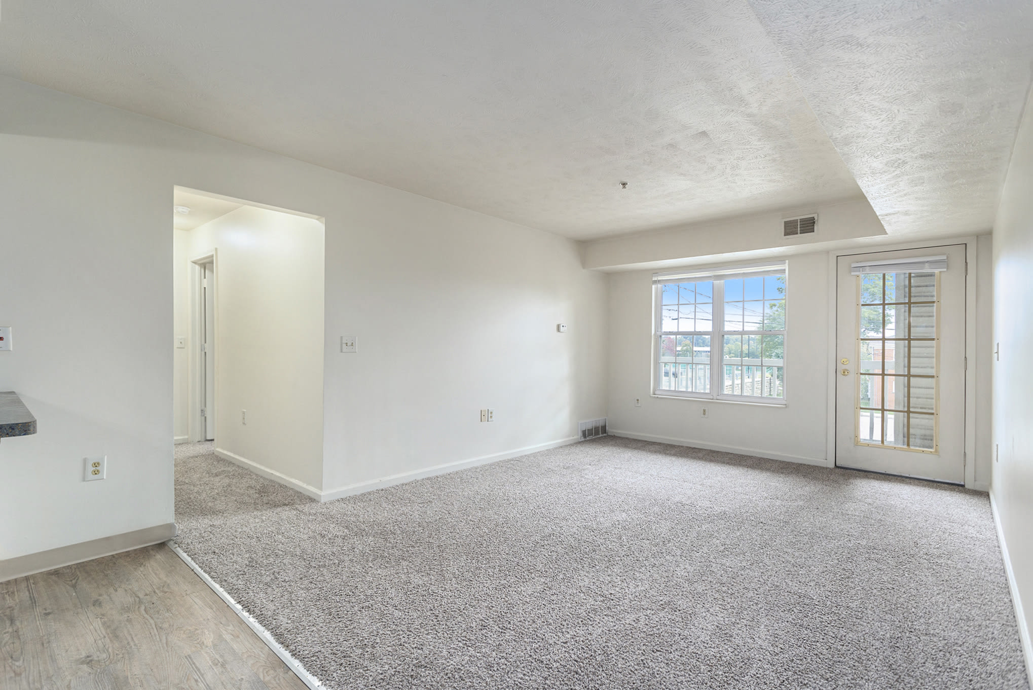60 Springview Drive – photo 4