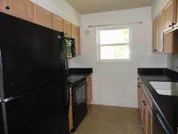 8009 Vita Court – photo 5