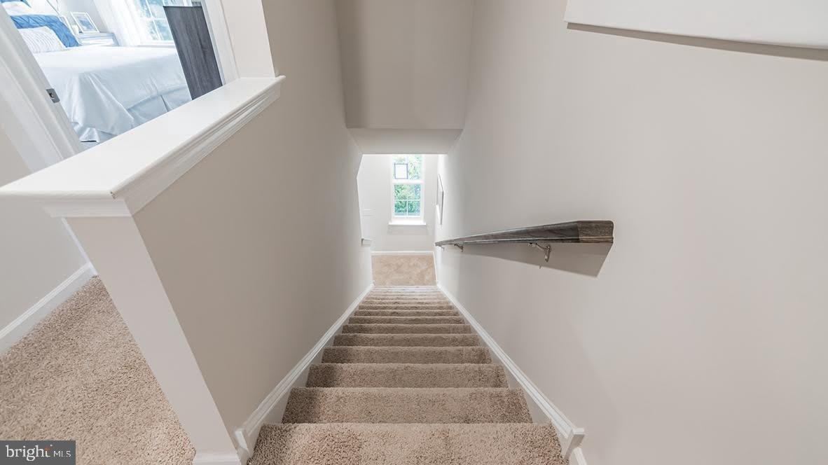 113 Mazzeo Drive – photo 4