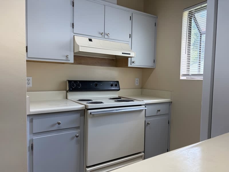 1502 Belmont Trace – photo 5