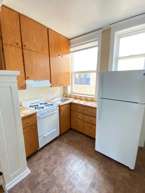 833 Cornelia – photo 5