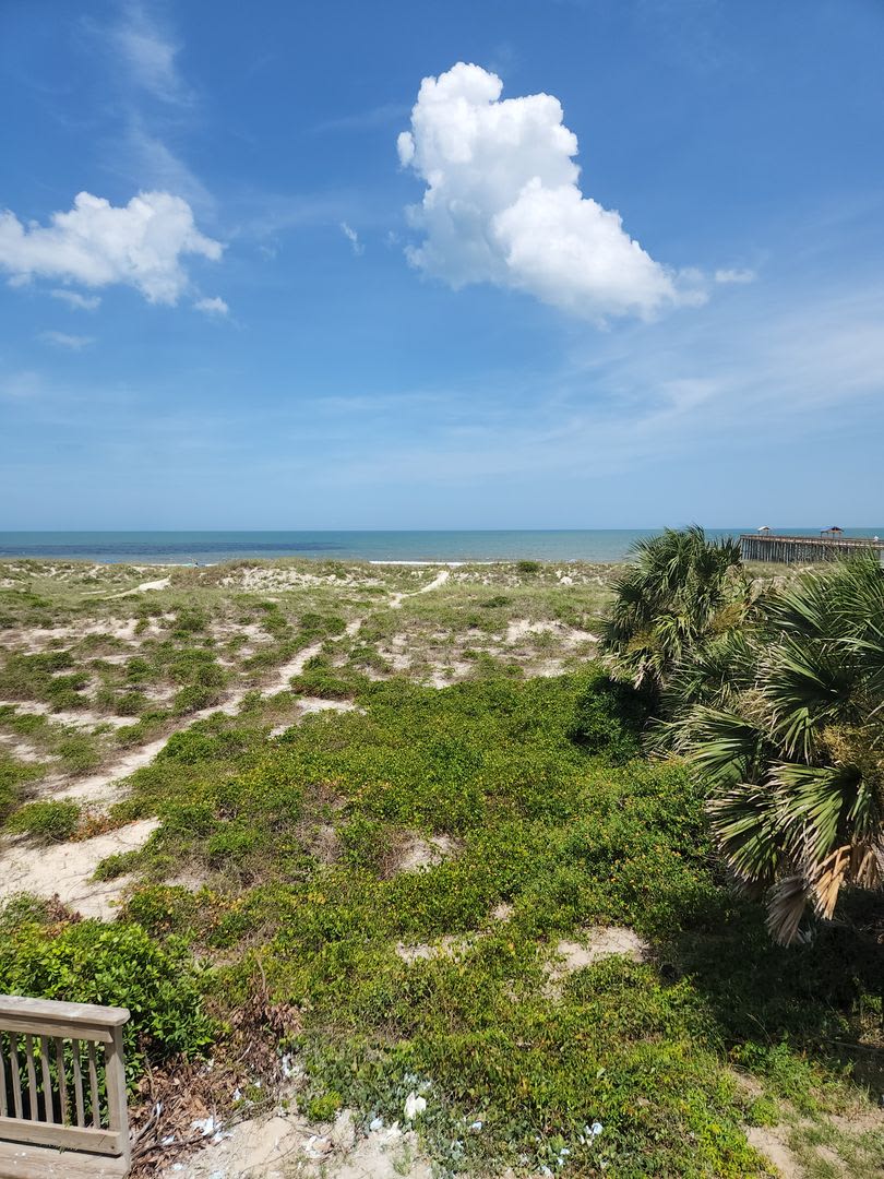 Oceanfront Condo on Beautiful Amelia Island – photo 4