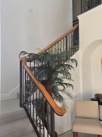 9142 Cherry Oaks Ln – photo 2